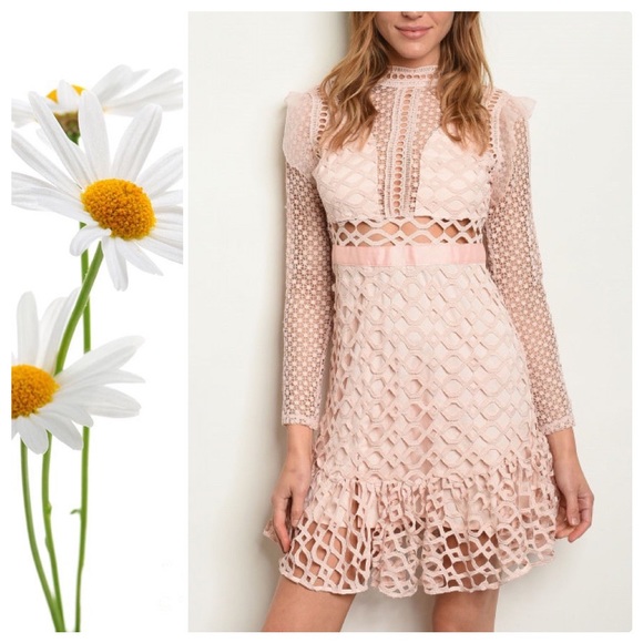 Creamy Blush Crochet Party Dress - Picture 5 of 5